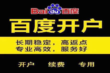 百度推广实战：助力企业快速占领市场份额